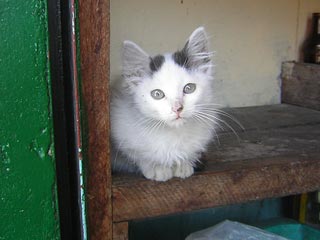 Jardin De Antioquia Colombia