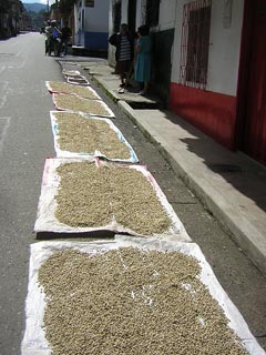 Jardin De Antioquia Colombia