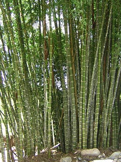 Jardin De Antioquia Colombia