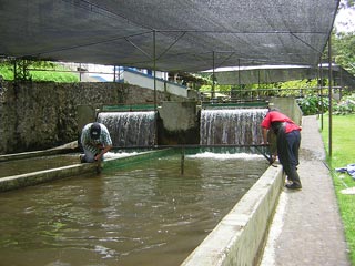 Jardin De Antioquia Colombia