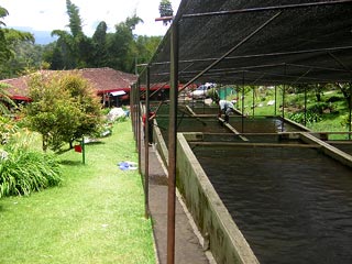 Jardin De Antioquia Colombia