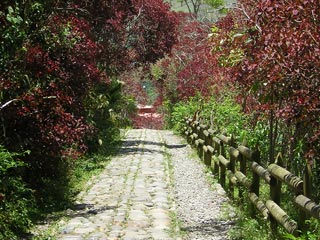 Jardin De Antioquia Colombia