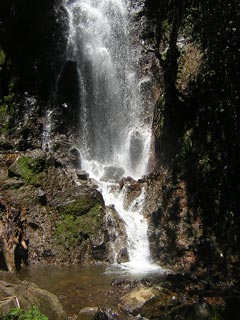 Jardin De Antioquia Colombia