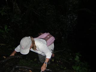 Jardin De Antioquia Colombia
