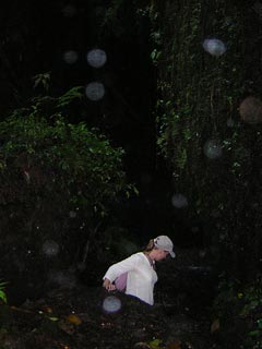 Jardin De Antioquia Colombia