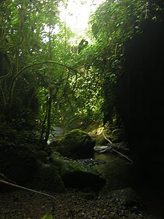 Jardin De Antioquia Colombia
