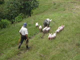 Jardin De Antioquia Colombia