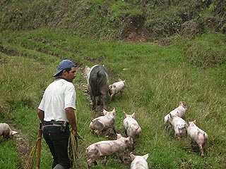 Jardin De Antioquia Colombia
