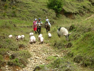 Jardin De Antioquia Colombia