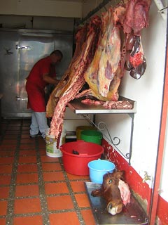 Jardin De Antioquia Colombia