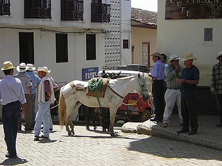 Jerico De Antioquia Colombia