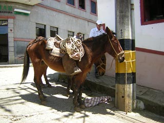 Jerico De Antioquia Colombia