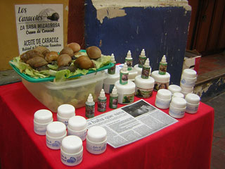 Santa Marta Colombia