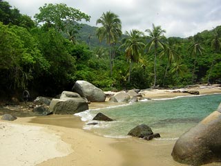 Tayrona Colombia
