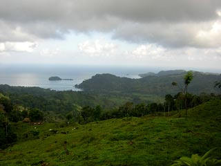 Portobelo - Jungle