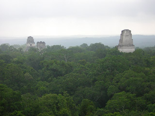 Tikal