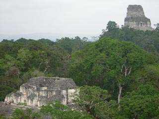 Tikal
