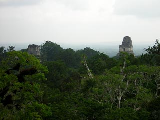 Tikal
