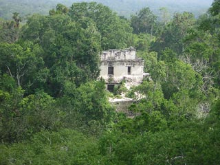 Tikal