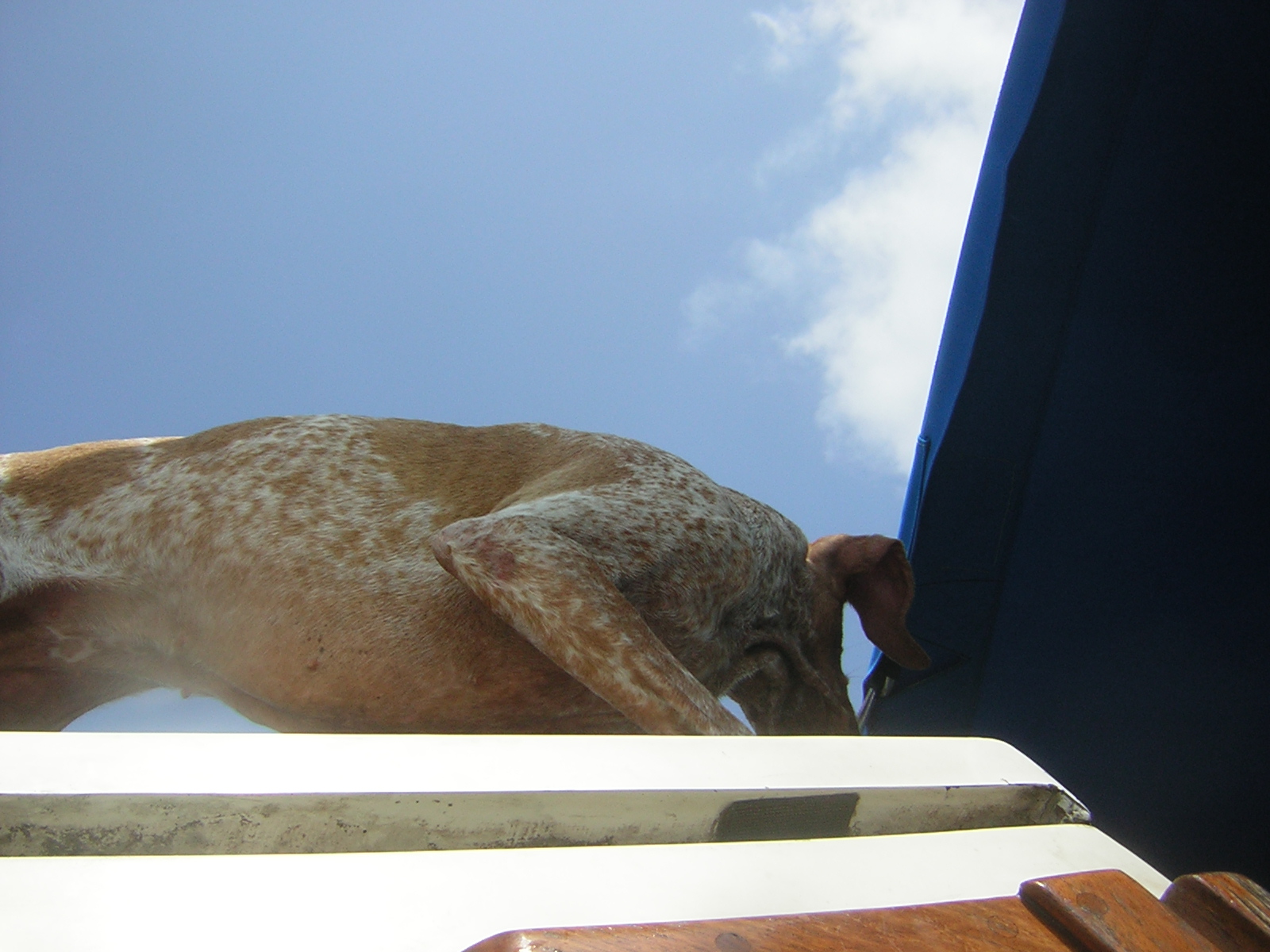 xmas 2006 San Blas